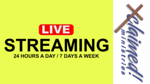 Xclaimed – Streaming Live Yellow